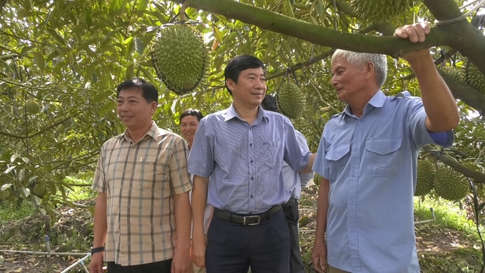 Ông Phạm Thiện Nghĩa (giữa) thăm mô hình trồng sầu riêng hướng hữu cơ, sinh thái.