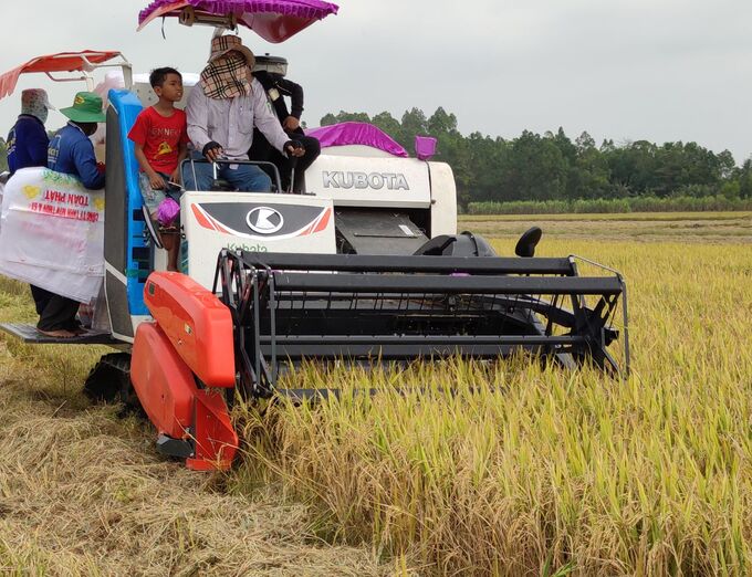 Ngân hàng nhà nước yêu cầu các tổ chức tín dụng đẩy mạnh cho vay thu mua lúa gạo ở ĐBSCL.