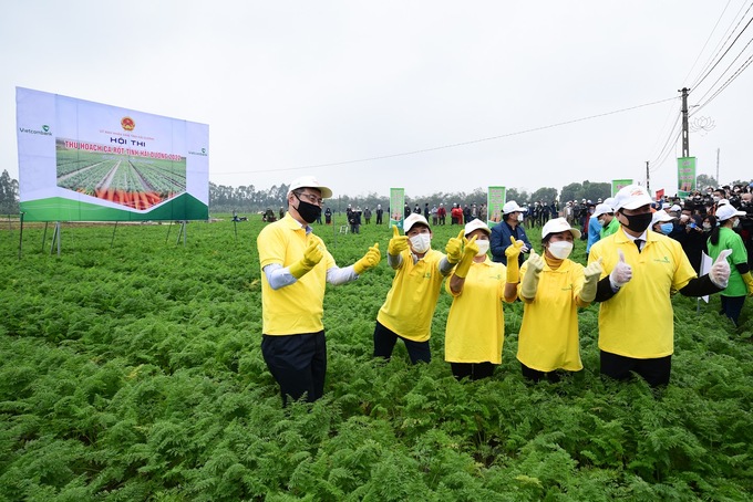 Many guests attended the Hai Duong Carrot Harvesting Contest 2022. Photo: Tung Dinh.