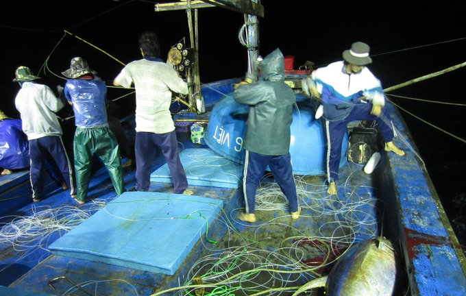 Đánh bắt cá ngừ đại dương bằng nghề câu tay kết hợp ánh sáng của ngư dân Bình Định. Ảnh: T.V.V.
