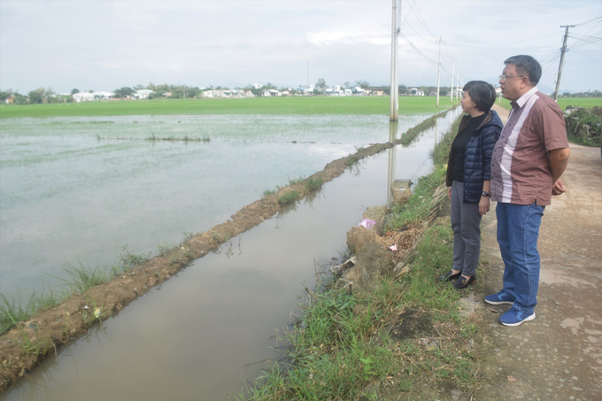 Ông Lê Thanh Tùng, Phó Cục trưởng Cục Trồng trọt và bà Nguyễn Thị Tố Trân, Phó Giám đốc Sở NN-PTNT kiểm tra diện tích lúa bị ngập tại xã Phước Sơn (huyện Tuy Phước). Ảnh: V.Đ.T.