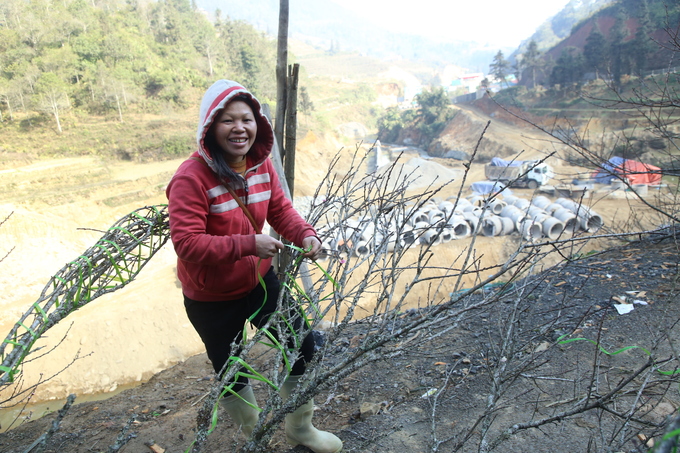 Một người phụ nữ dân tộc Dao bó đào thuê tại chợ.