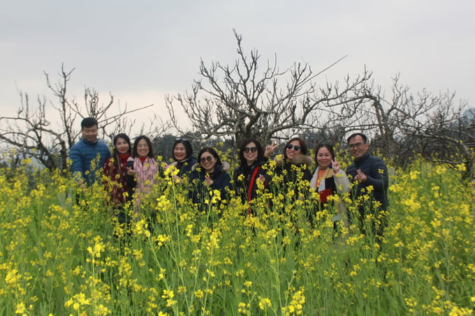 Đoàn khách du lịch đến từ huyện Văn Yên tỉnh Yên Bái và Hà Nội thăm quan, chụp hình lưu niệm và ấn tượng sâu đậm về cao nguyên trắng Bắc Hà mùa xuân hoa nở rực đất trời mê hồn