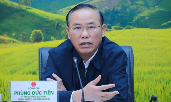 Mr. Phung Duc Tien, Deputy Minister of Agriculture and Rural Development at the meeting on January 31.