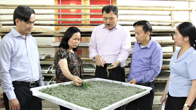 Lãnh đạo huyện Trấn Yên và Trung tâm nghiên cứu dâu tằm tơ Trung ương thăm mô hình nuôi tằm giống ở xã Việt Thành