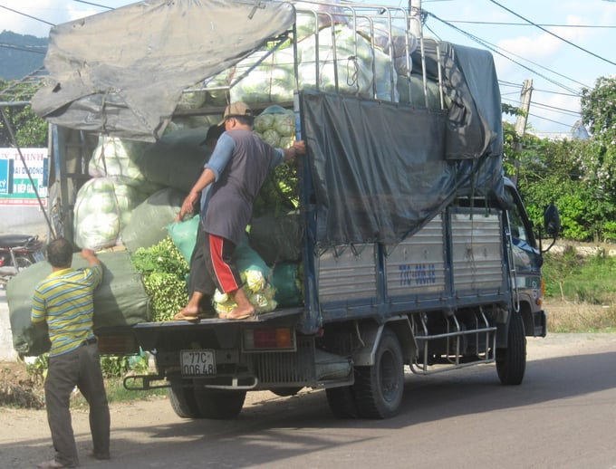 Traders come to the fields to buy and sell vegetables.  Photo: VDT