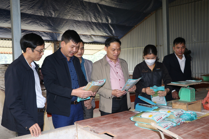 Đồng chí Trần Đông chủ tịch UBND huyện thăm HTX miến đao Việt Hải Đăng xã Quy Mông