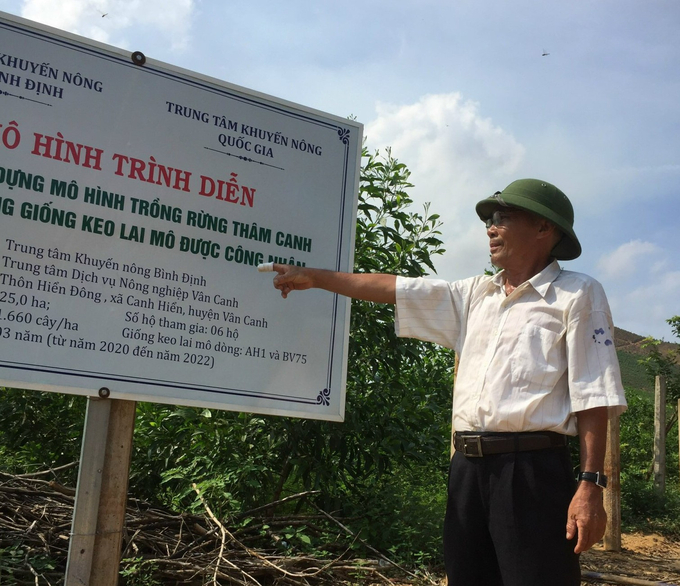 Ông Đỗ Duy Thụy (SN 1960), 1 trong 6 người tham gia trồng 26ha rừng gỗ lớn thuộc dự án khuyến nông tại xã Canh Hiển (huyện Vân Canh, Bình Định). Ảnh: V.Đ.T.
