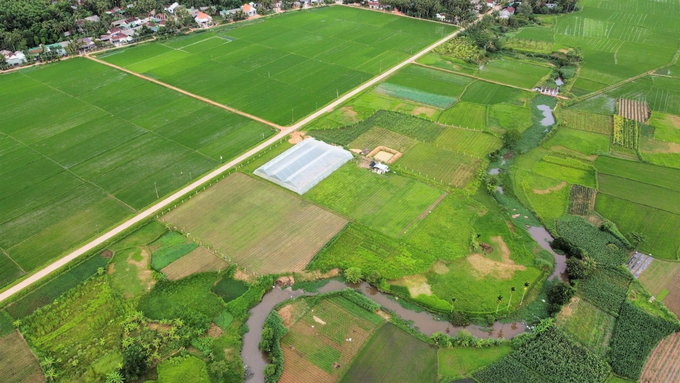 Nhà màng trồng dưa lưới của HTX Nông nghiệp Công nghệ cao La’sfarm Ân Phong (màu trắng) tại xã Ân Phong (huyện Hoài Ân, Bình Định). Ảnh: V.Đ.T.