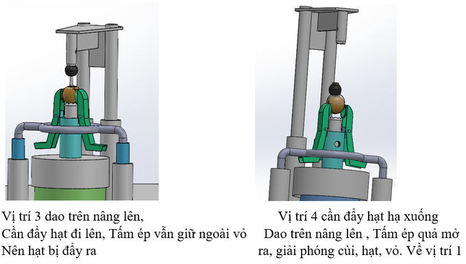 Các bước thực hiện của máy bóc vỏ tách cùi nhãn.