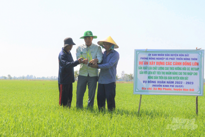 Tham gia Đề án phát triển bền vững 1 triệu ha chuyên canh lúa chất lượng cao gắn với tăng trưởng xanh do Bộ NN-PTNT triển khai tại vùng ĐBSCL, Kiên Giang đăng ký thực hiện 200 ngàn ha đến năm 2030. Ảnh: Trung Chánh.