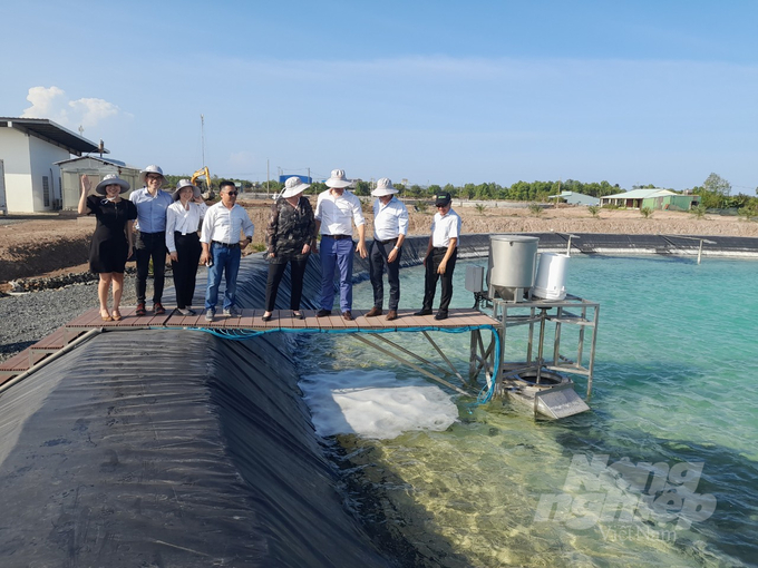 Đoàn công tác Hà Lan đến tham quan mô thức nuôi tôm siêu thâm canh tại Trà Vinh. Ảnh: Hồ Thảo