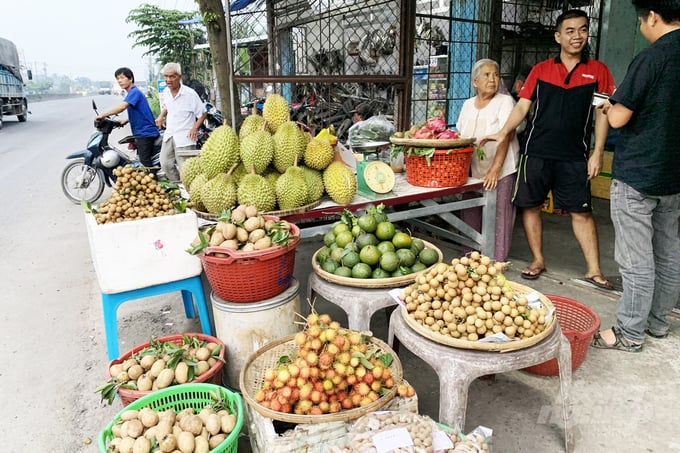 Selling fruit along the national road west Photo Huu Duc