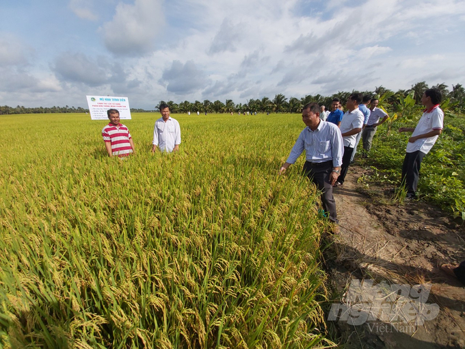 Nông dân Trà Vinh áp dụng khoa học, công nghệ vào sản xuất lúa. Ảnh: Hồ Thảo