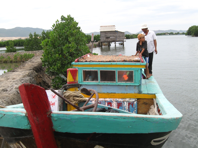Mô hình nuôi thủy sản tổng hợp tôm-cua-cá ở các vùng nuôi nước lợ đang ‘hít’ ngư dân Bình Định. Ảnh: V.Đ.T.