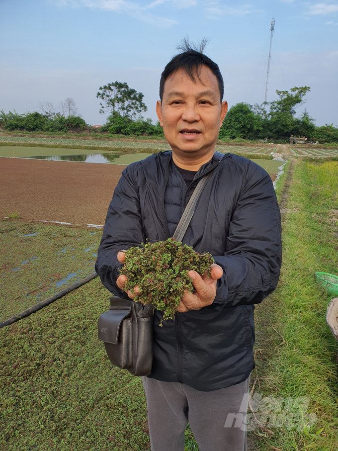 Phát hiện gây chấn động ở Bắc Băng dương