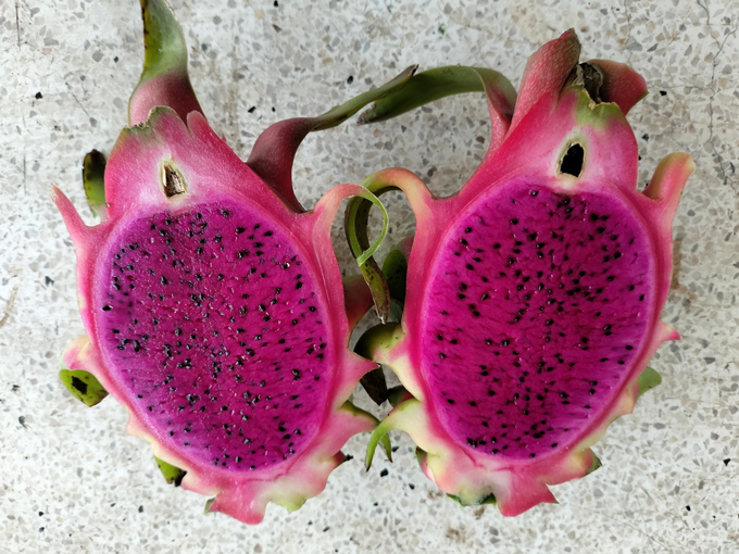 Copyright issues like red meat dragon fruit LD1 – Factories in Vietnam