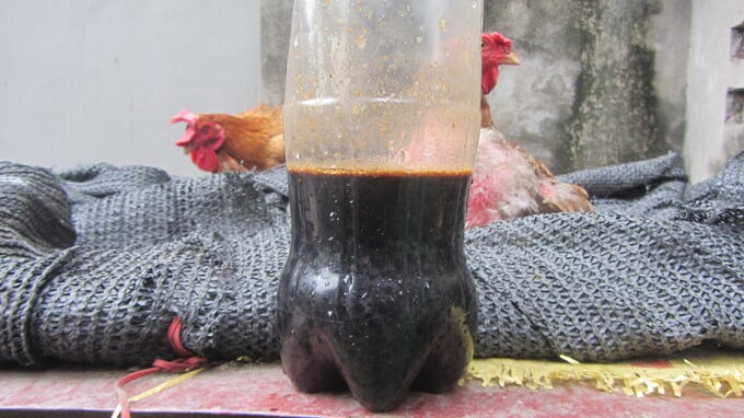 1 – Chai nước cốt men tỏi để sẵn pha loãng cho gà uống khi cần