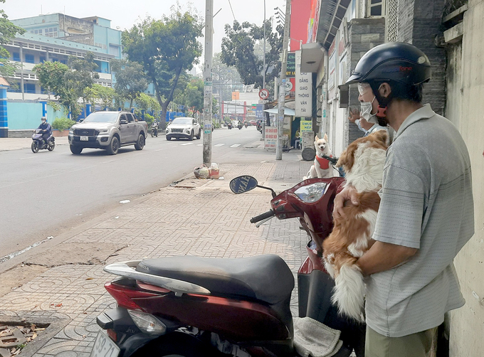 It is still very common to see images of dogs out on the street without a muzzle. Photo: Son Trang.