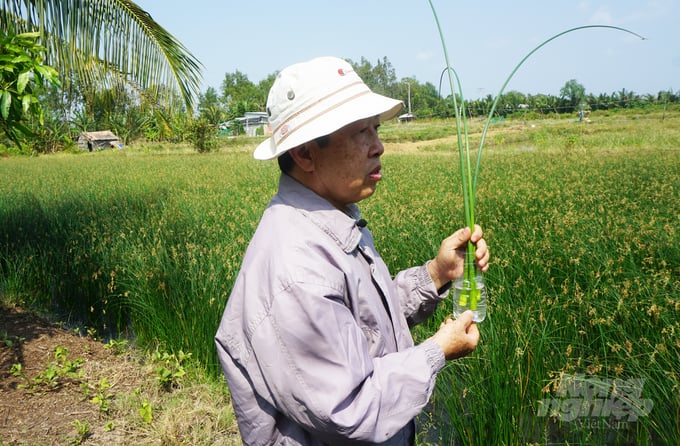 TS Dương Văn Ni làm thực nghiệm về cách vận hành bơm Oxy vào nước của cây cỏ năn tượng Ảnh Hữu Đức