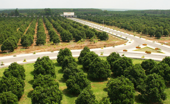 Vinamit Organic Farm, a 150-ha farm located in Phu Giao town, Binh Duong, has achieved the certifications of Organic Farming and Organic Agricultural Products according to USDA Organic Standard.