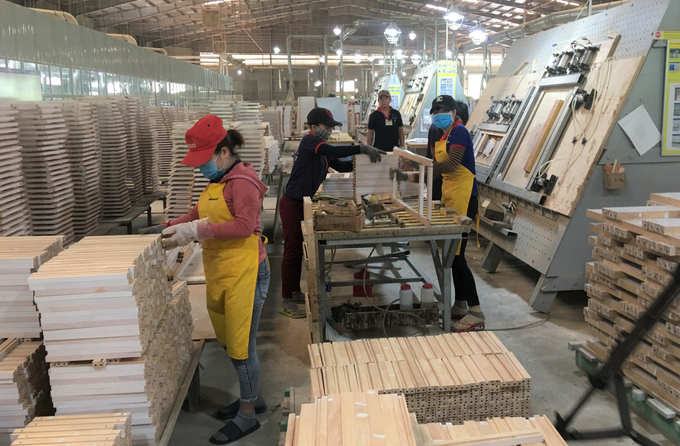 Nhiều doanh nghiệp ngành gỗ ở Bình Định áp dụng thiết bị hiện đại để nâng cao năng suất lao động, giảm chi phí sản xuất. Ảnh: LK.
