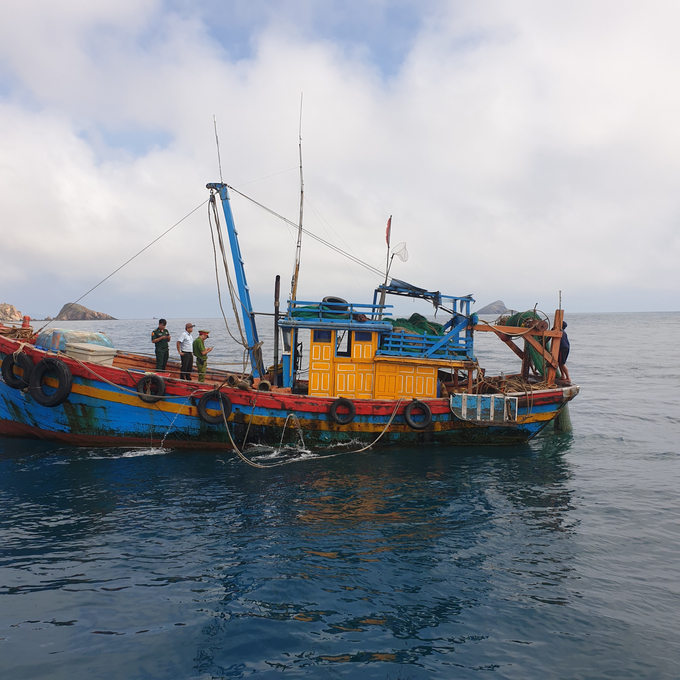 Binh Dinh's functional department inspects fishing activities at sea. Photo: V.D.T.