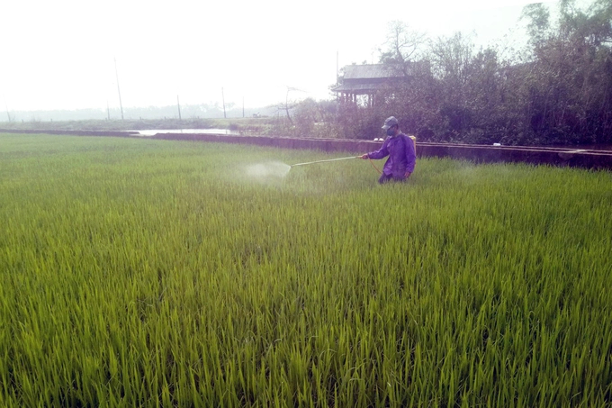 Nông dân tỉnh Thừa Thiên – Huế phun thuốc bảo vệ thực vật phòng trừ sâu bệnh. Ảnh: CĐ.    