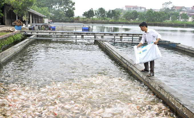 The flow technology in ponds enables management with a density 10 times higher than in conventional ponds. 