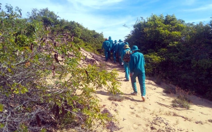 Các chủ rừng ở tỉnh Bình Thuận tuần tra phòng chống cháy rừng trong mùa khô. Ảnh: Kim Sơ.