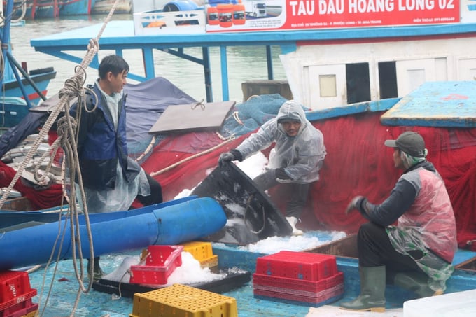 Khanh Hoa authorities will continue to propagate and disseminate legal regulations on anti-IUU fishing work. Photo: K.S.