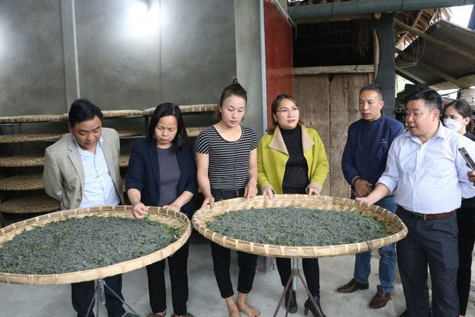 Nghề trồng dâu, nuôi tằm ở Yên Bái đã có thể yên tâm mở rộng quy mô sản xuất nhờ có nhà máy ươm tơ đi vào hoạt động.