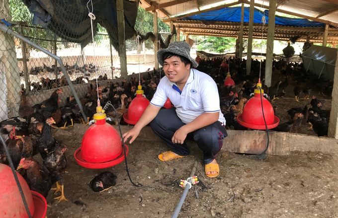 Anh Nguyễn Giang Trí chăm sóc đàn gà tại 1 trong 15 dãy chuồng nuôi gà thả đồi tại Gò Loi, xã Ân Tường Tây (huyện Hoài Ân, Bình Định). Ảnh: V.Đ.T.