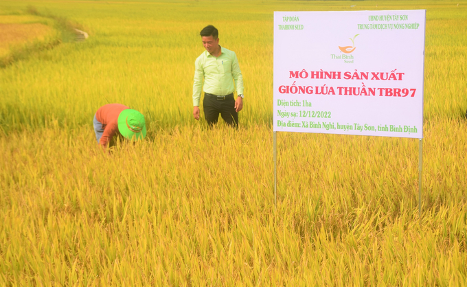 Nông dân HTX Nông nghiệp 3 Bình Nghi (huyện Tây Sơn, Bình Định) gặt thí điểm tại ruộng của ông Văn Trọng Khải.
