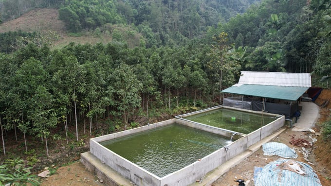 Cơ sở nuôi cá Tầm mới xây dựng của anh Nguyễn Đình Huyền ở Bản Nả xã Việt Hồng