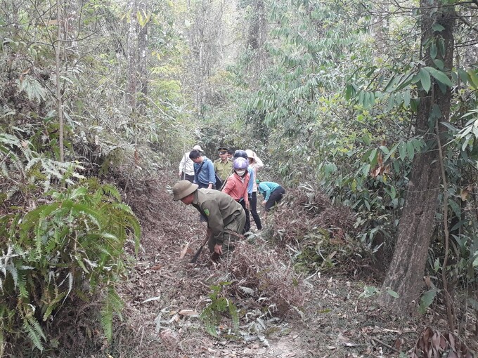 Người dân bản Quyền xã Mường Chiên phát đường băng cản lửa phòng chống cháy rừng mùa khô hanh