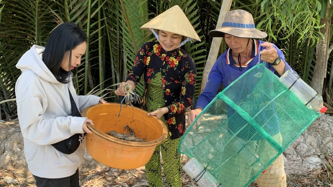 Con tôm dần trở thành thu nhập chính của nông dân trên cù lao Long Hòa - Hòa Minh. Ảnh: Hồ Thảo