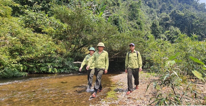 Lực lượng bảo vệ rừng của Chi nhánh lâm trường Khe Giữa trong chuyến tuần rừng. Ảnh: T.P