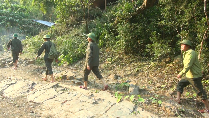 Dù cuộc sống còn nhiều khó khăn, nhưng lực lượng bảo vệ rừng BQL RPH Quảng Ninh vẫn bám rừng để giữ rừng. Ảnh: T.P