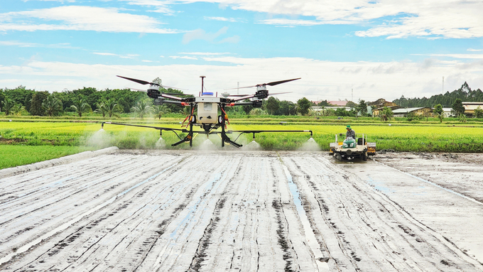 The Ministry of Agriculture and Rural Development has set a target that the area of specialized high-quality rice cultivation in the whole Mekong Delta region will exceed 500,000 ha, followed by the goal of 1 million ha planted and the rice output reaching 6.2 million tons by 2025. Photo: Kim Anh.