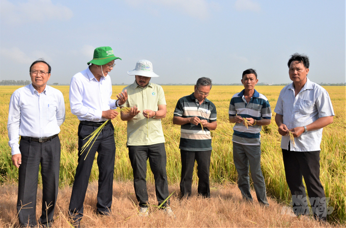 Hợp tác xã được đánh giá là lực lượng nòng cốt tham gia thực hiện Đề án phát triển 1 triệu ha lúa chuyên canh chất lượng cao gắn với tăng trưởng xanh. Ảnh: Trung Chánh.