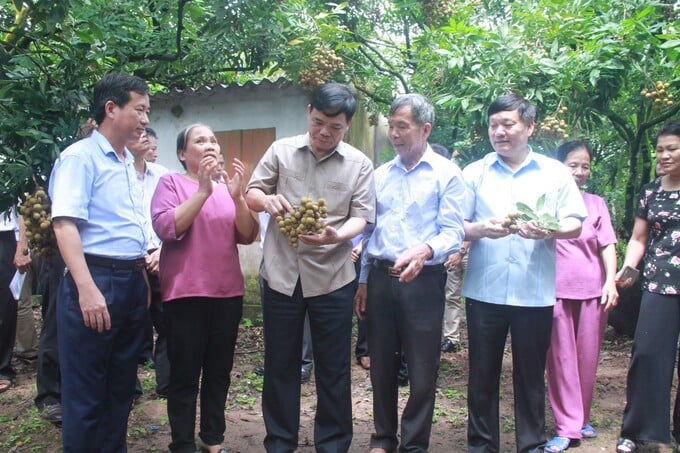 7 – Nguyên Bộ trưởng Bộ Nông nghiệp & PTNT Nguyễn Xuân Cường cùng lãnh đạo tỉnh Hưng Yên đến thăm vườn nhãn của HTX
