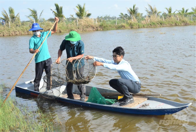Kien Giang Sub-Department of Fisheries has trained farmers and given guidance in the implementation of granting identification codes for brackish water shrimp farming establishments. Photo: Trung Chanh.