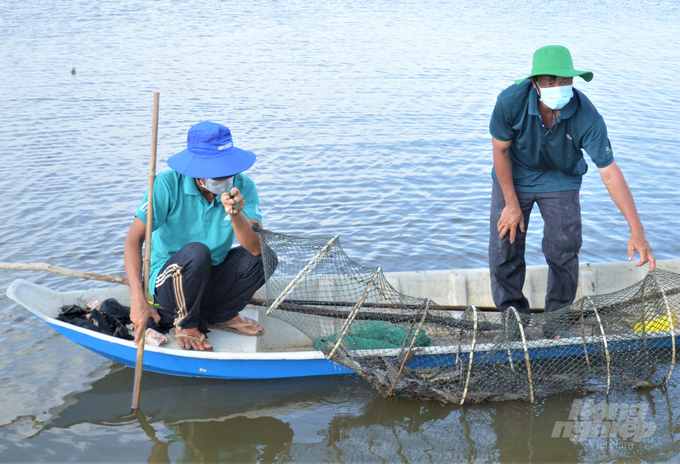The organization of issuing codes for brackish water shrimp farming establishments in An Minh district has been well-implemented. Up to now, over 99% of the establishments have been granted codes. Photo: Trung Chanh.