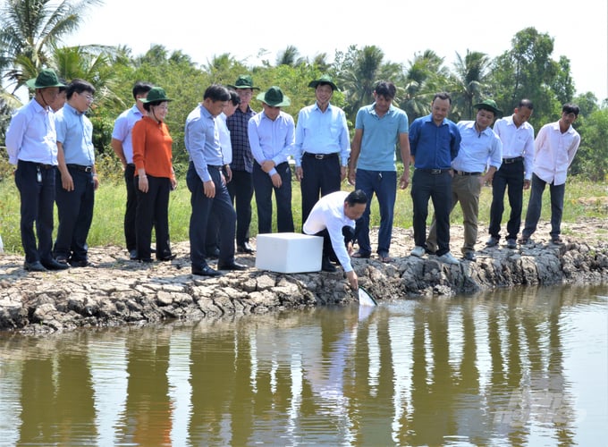 Theo Chi cục Thủy sản Kiên Giang, toàn tỉnh có 34.658 cơ sở thuộc diện phải đăng ký cấp mã số nhận diện cơ sở nuôi trồng thủy sản 