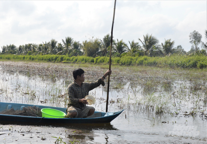 Many shrimp farming establishments are mortgaging their 'red notebook' for bank loans. Photo: Trung Chanh.