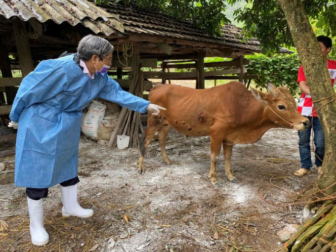 Lãnh đạo Cục Thú y kiểm tra, lấy mẫu bệnh viêm da nổi cục tại Lạng Sơn. Ảnh: Cục Thú y