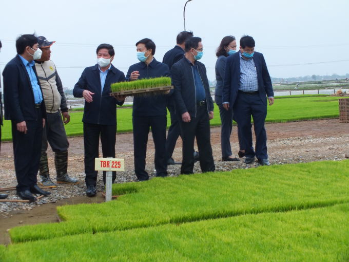Thứ trưởng Bộ NN-PTNT Lê Quốc Doanh (thứ 3 từ trái sang) thăm và kiểm tra công tác triển khai gieo cấy vụ đông xuân 2020 - 2021 tại tỉnh Thái Bình. Ảnh: Lê Bền