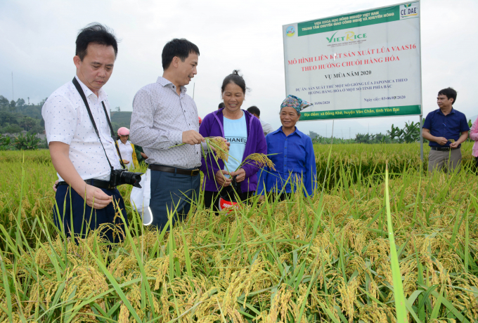 Minister Le Minh Hoan said that VAAS needs to be more proactive in capturing the needs of scientific research from production practice. Photo: TL.
