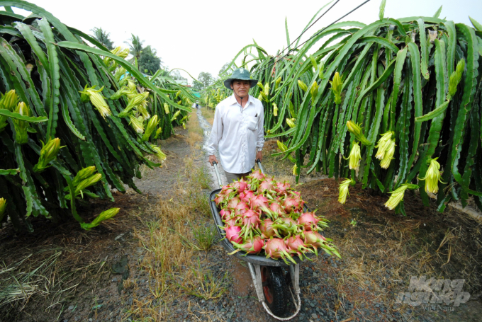 The promotion of agricultural product consumption through online sales channels has helped cover the decrease in direct consumption channels due to the epidemic. Photo: TL.